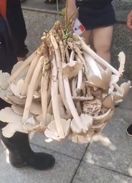 贵州自然美景之旅，探寻内心平和与喜悦的源泉