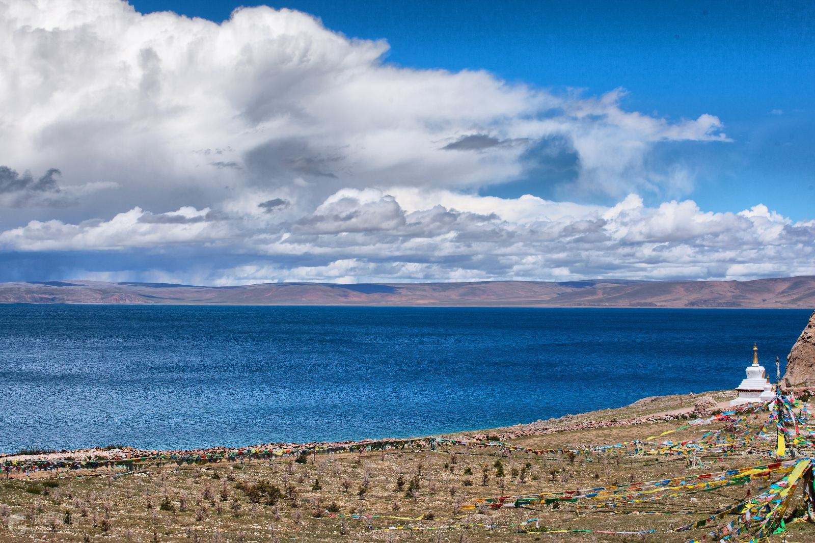 探寻西藏的神秘魅力🏔️🌿