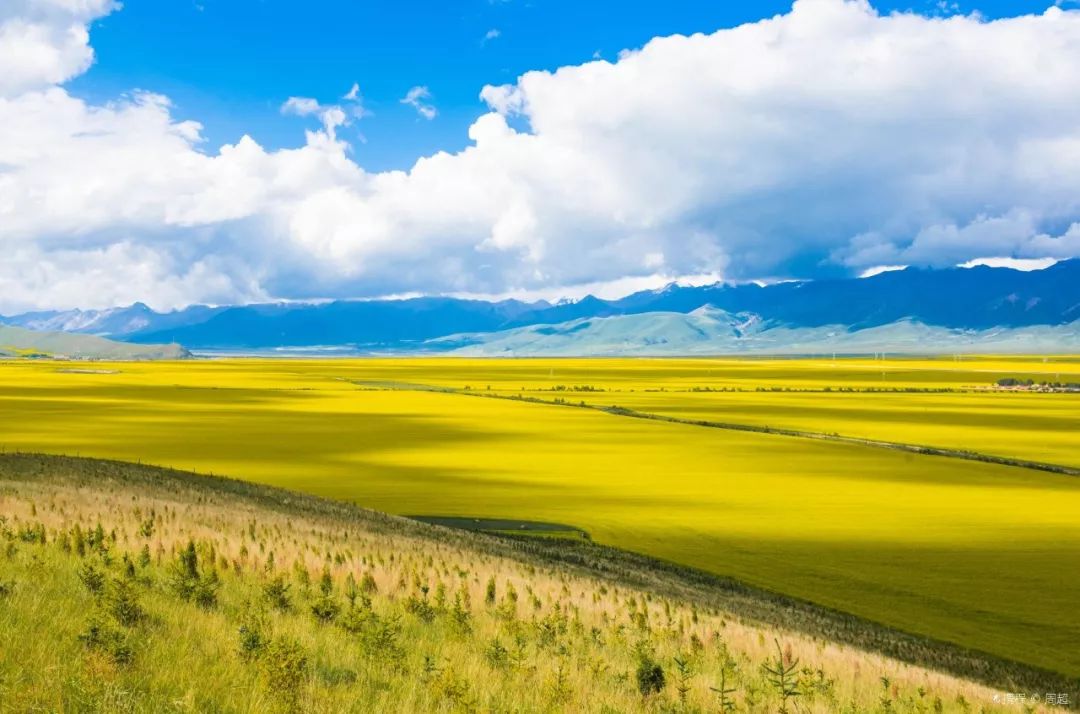 邂逅青海，秘境之旅，心灵与自然的交融